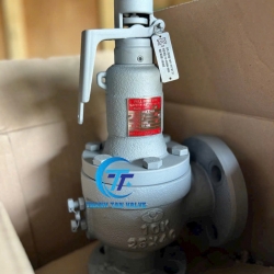 VAN AN TOÀN HƠI NÓNG DN25/DN40