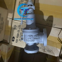 VAN AN TOÀN HƠI NÓNG DN32/DN50