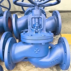 VAN CẦU GANG JOEUN DN200